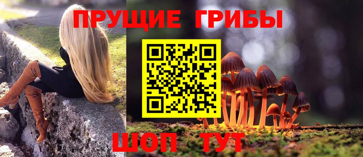 Псилоцибиновые грибы мицелий Ачхой-Мартан